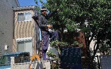 指扇A様邸　剪定